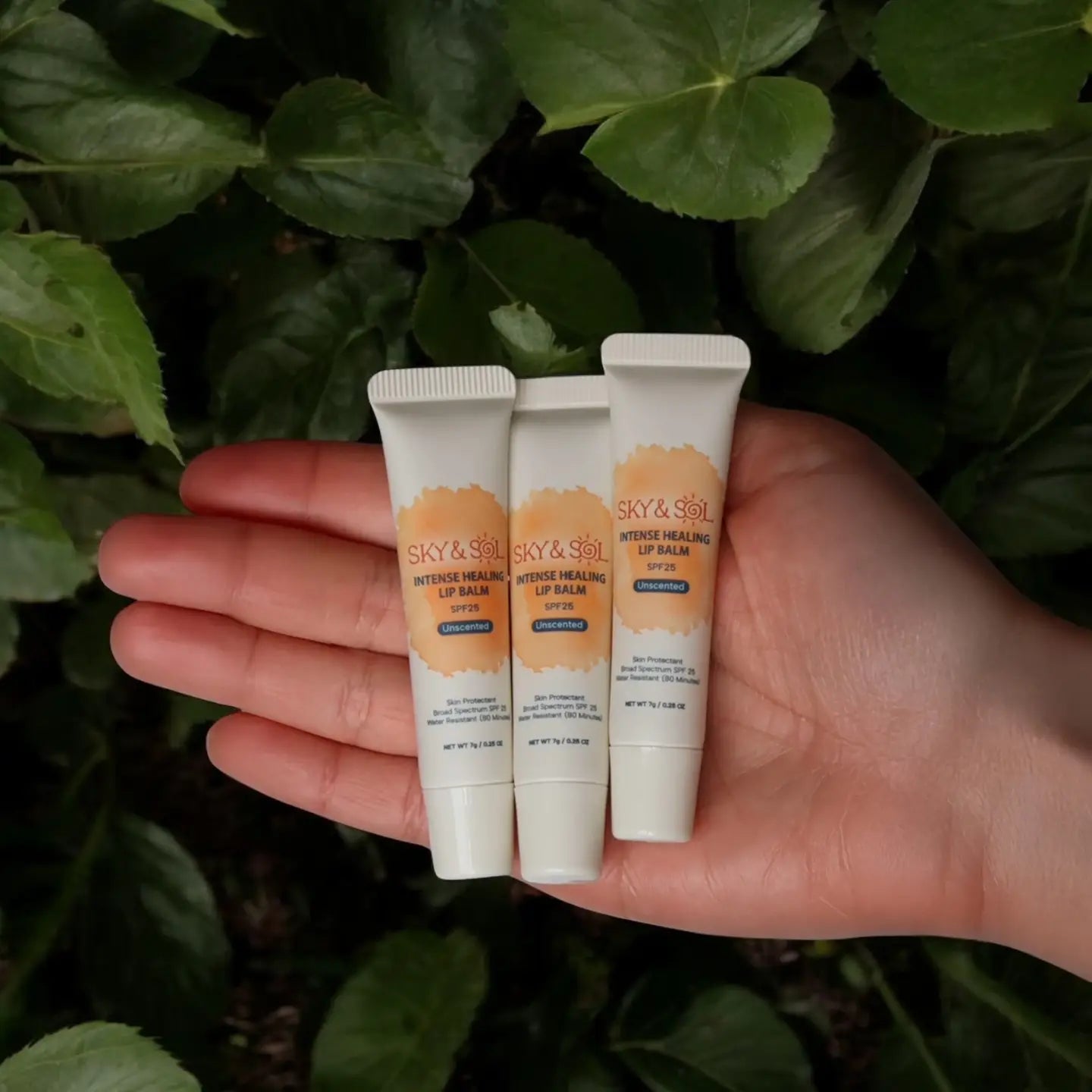 Lip Jelly SPF 25 (pack of 3)
