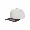 Tan & Brown Hat
