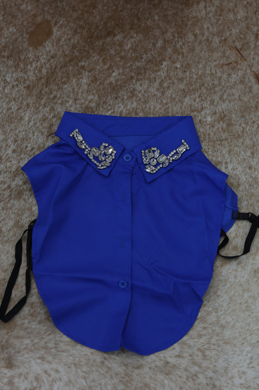 BLUE CORPORATE COLLAR