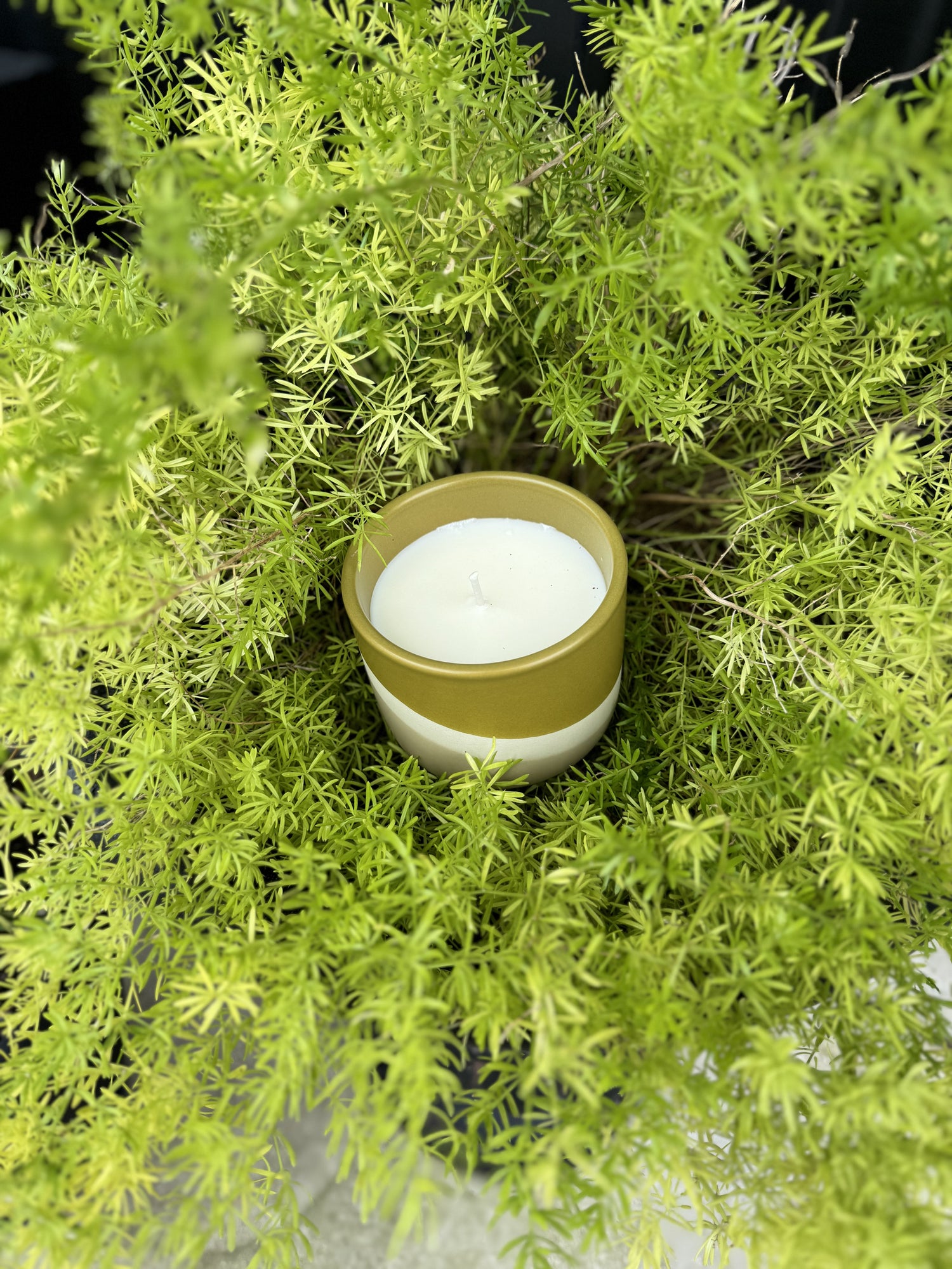pothead planters candles Delaney Planter Candle – Love Story Boutique
